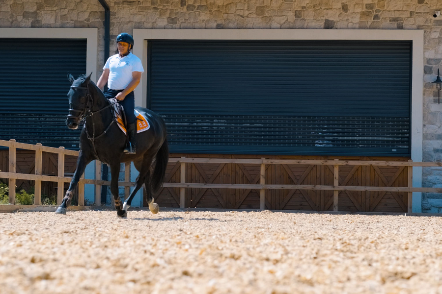 Avrupa Konutları Çamlıvadi