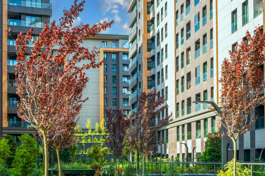 Avrupa Konutları Çamlıvadi